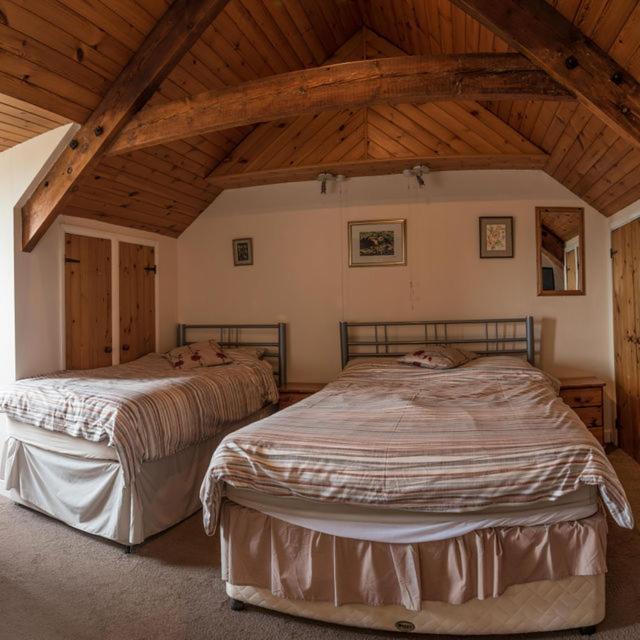 Glendower B&B St. Davids  Esterno foto